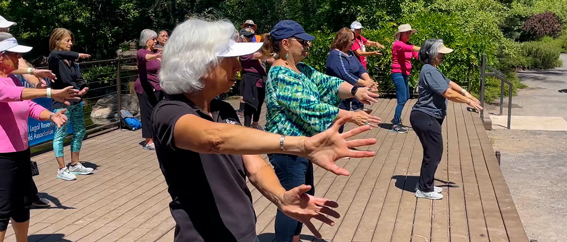 Older adults participate in tai chi. 