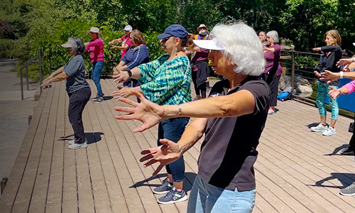 Older adults participate in Tai Chi exercises at the Japanese Garden.