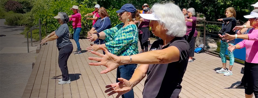 Adultos mayores participan en ejercicios de Tai Chi en el Jardín Japonés.