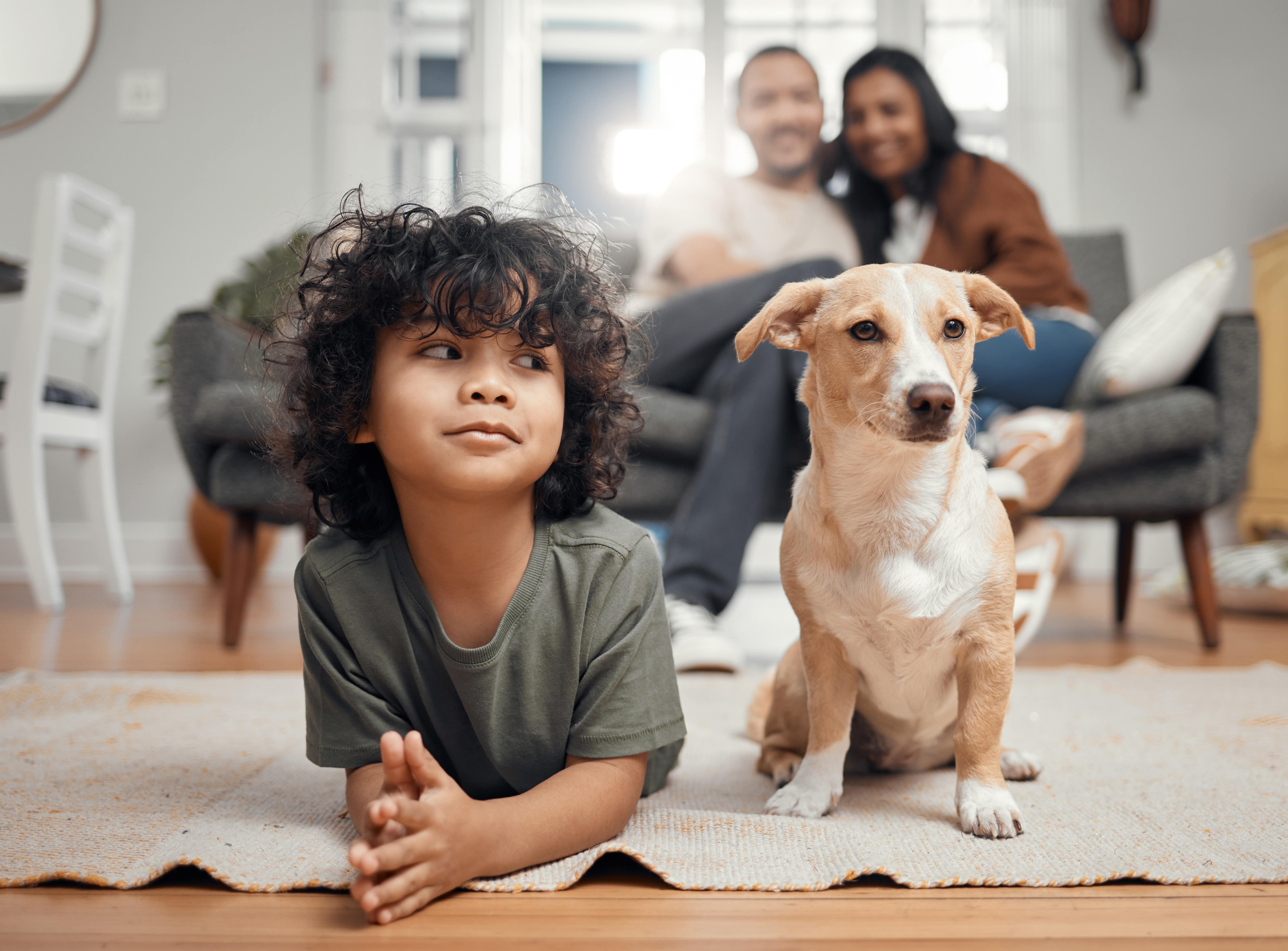 Un niño con su perro