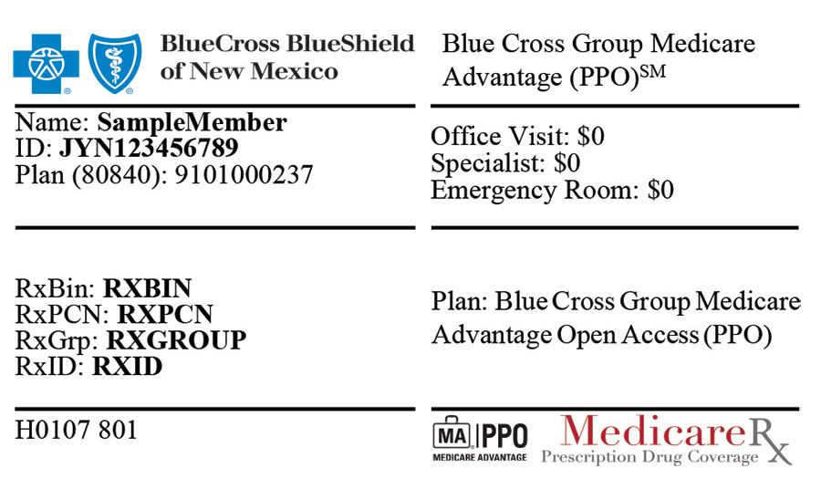 NM Open Access PPO Front